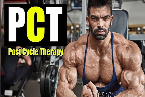 PCT Cycle - An Effective Way to Restore Hormones