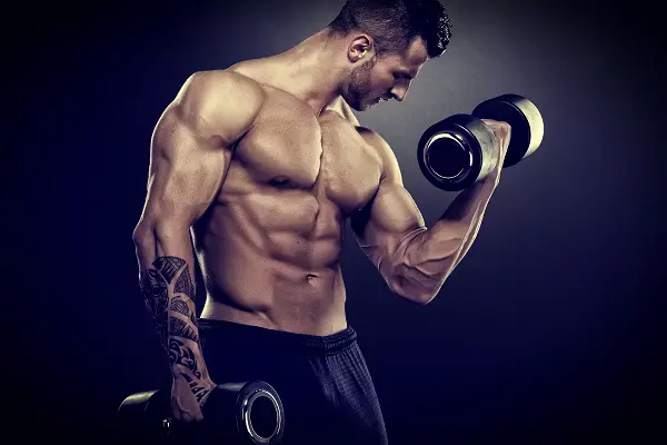 Arimistane PCT – Guide Steroid Cycles