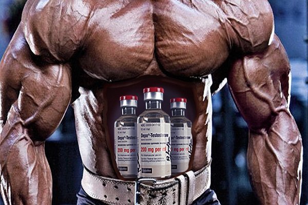 Articles Image Steroids cutting cycle - Best Stacks For Cutting