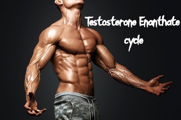 Articles Image Testosterone Enanthate Cycle for Beginners - Dosage & Results