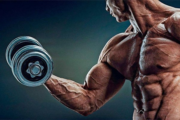 Articles Image What Is a Natural Alternative To Steroids?