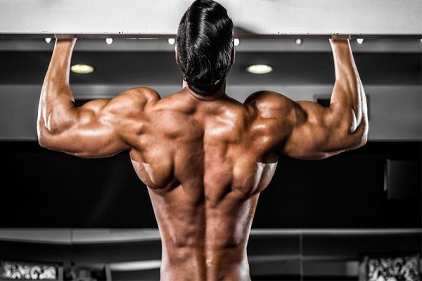 Why you will buy steroids for muscle growth?