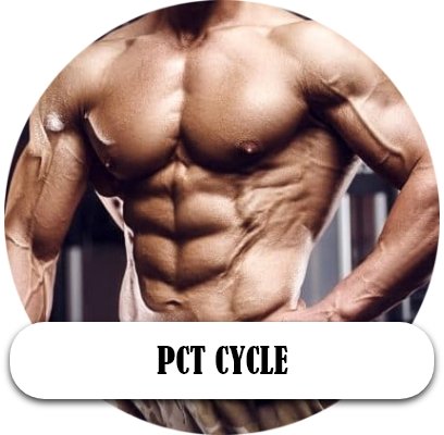 PCT Cycle