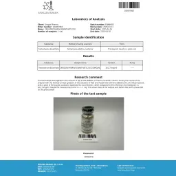 Enantat 250 - Testosterone Enanthate - Dragon Pharma, Europe