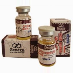 GP Tren Enanth 200 (Trenabol) - Trenbolone Enanthate - Geneza Pharmaceuticals