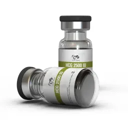 HCG 2500IU - Human Chorionic Gonadotropin - Dragon Pharma, Europe