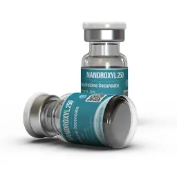 Nandroxyl 250 (Deca Durabolin) - Nandrolone Decanoate - Kalpa Pharmaceuticals LTD, India