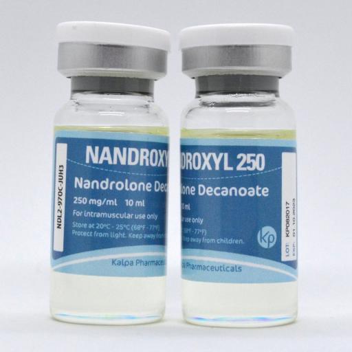 Nandroxyl 250 (Deca Durabolin) - Nandrolone Decanoate - Kalpa Pharmaceuticals LTD, India