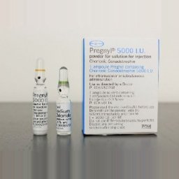 Pregnyl HCG 5000iu - Human chorionic gonadotropin - Organon Ilaclari, Turkey