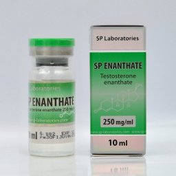 SP Enanthate - Testosterone Enanthate - SP Laboratories