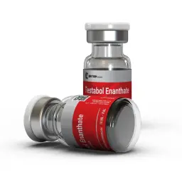Testabol Enanthate - Testosterone Enanthate - British Dragon Pharmaceuticals