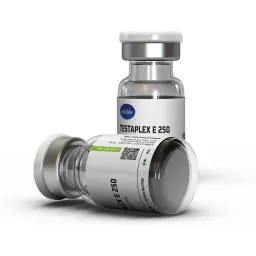 Testaplex E 250 - Testosterone Enanthate - Axiolabs