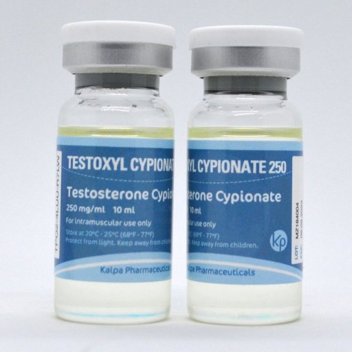 Testoxyl Cypionate 250 - Testosterone Cypionate - Kalpa Pharmaceuticals LTD, India