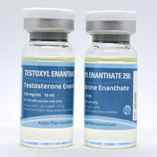 Testoxyl Enanthate 250 - Testosterone Enanthate - Kalpa Pharmaceuticals LTD, India