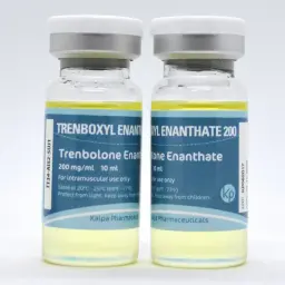 Trenboxyl Enanthate 200 (Trenabol) - Trenbolone Enanthate - Kalpa Pharmaceuticals LTD, India