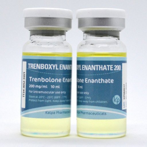 Trenboxyl Enanthate 200 (Trenabol) - Trenbolone Enanthate - Kalpa Pharmaceuticals LTD, India