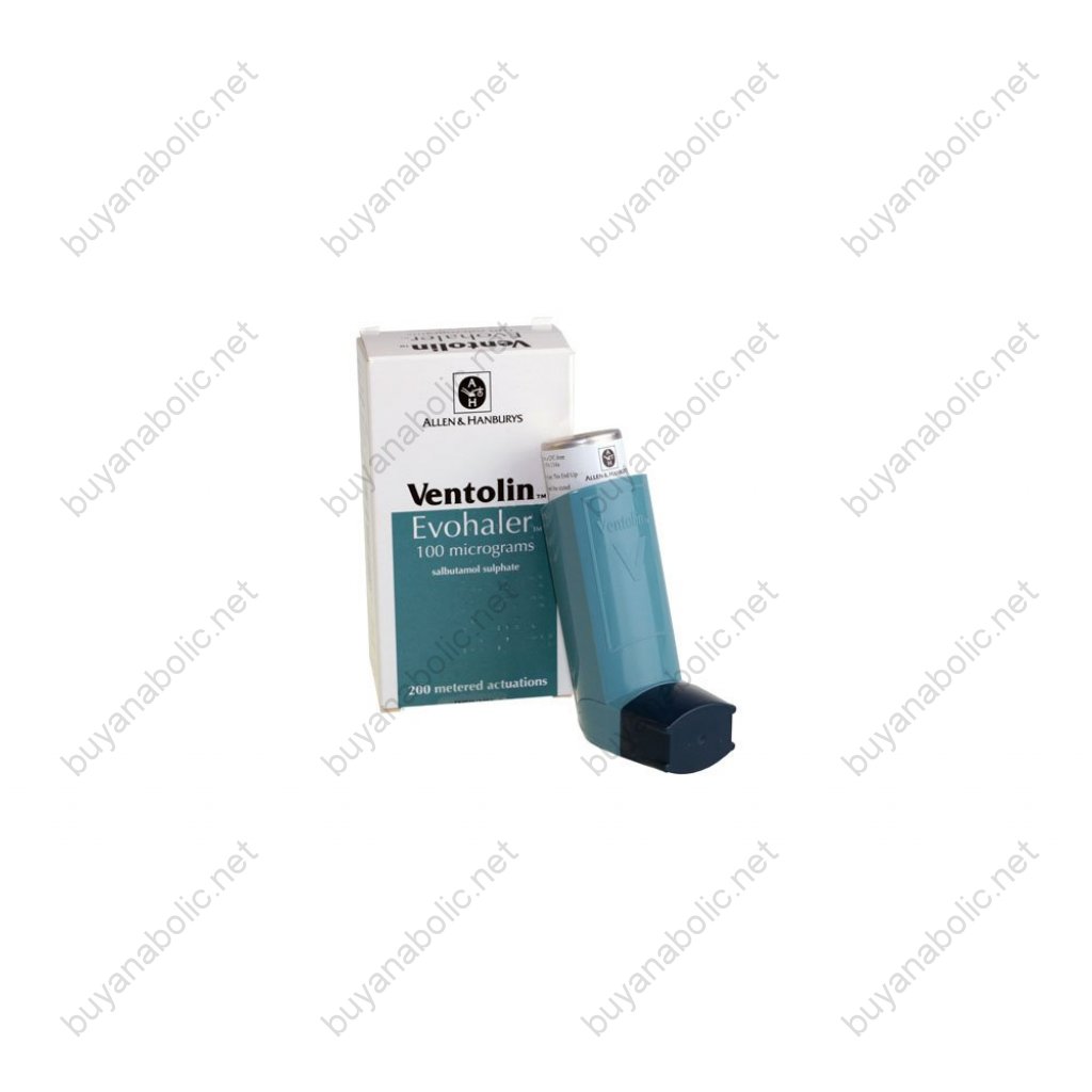 Ventolin Inhaler - Salbutamol - GlaxoSmithKline, Turkey Ventolin Inhaler - Salbutamol - GlaxoSmithKline, Turkey